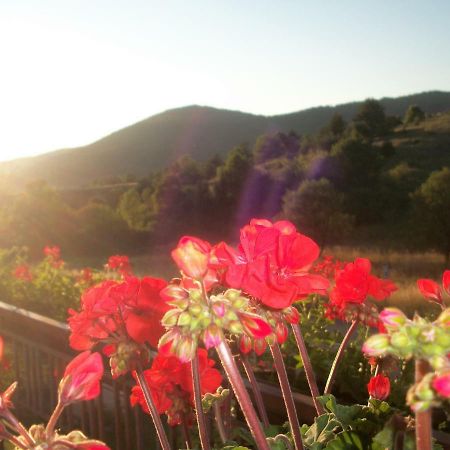 House Veljko Villa Vrhovine ภายนอก รูปภาพ