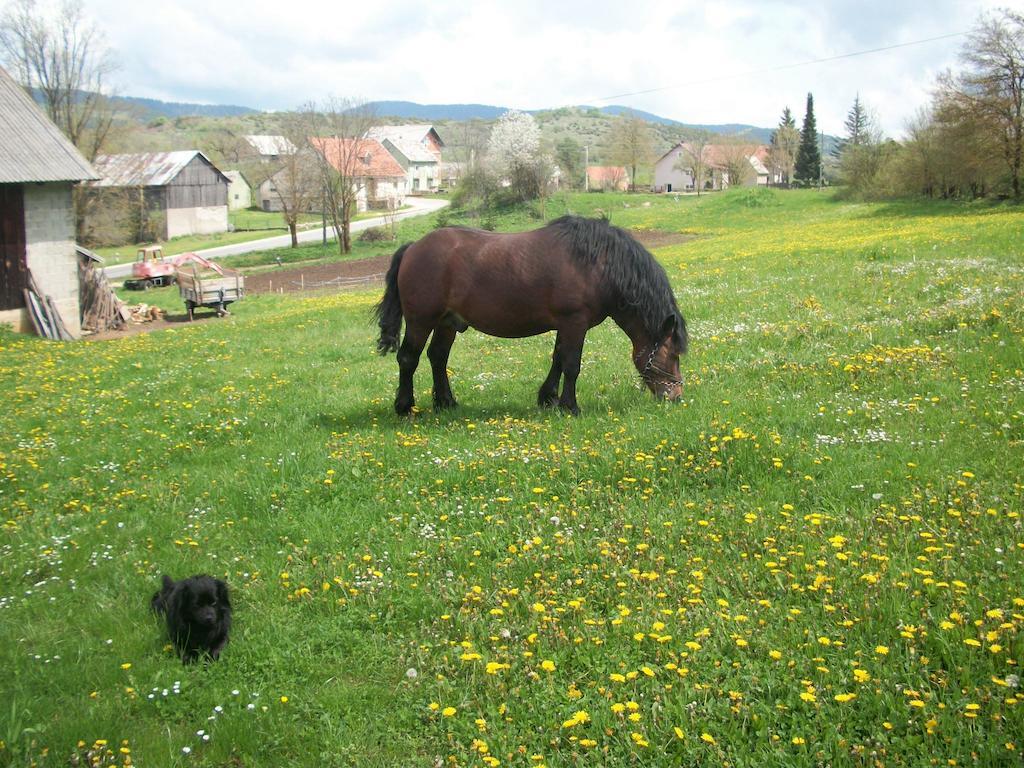 House Veljko Villa Vrhovine ภายนอก รูปภาพ