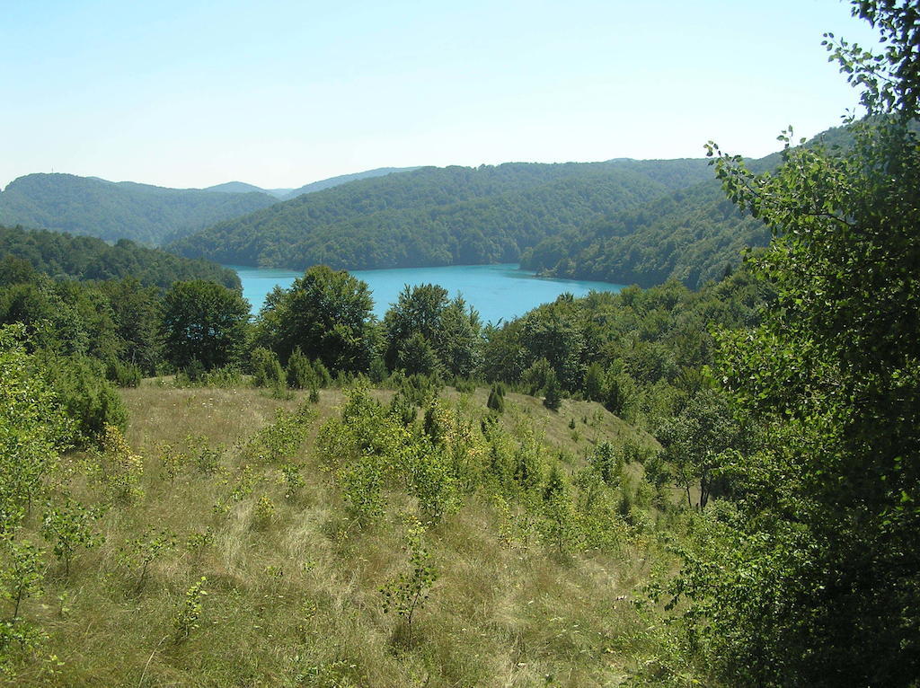 House Veljko Villa Vrhovine ภายนอก รูปภาพ