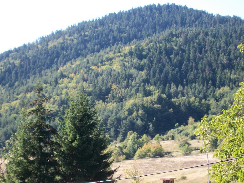 House Veljko Villa Vrhovine ภายนอก รูปภาพ