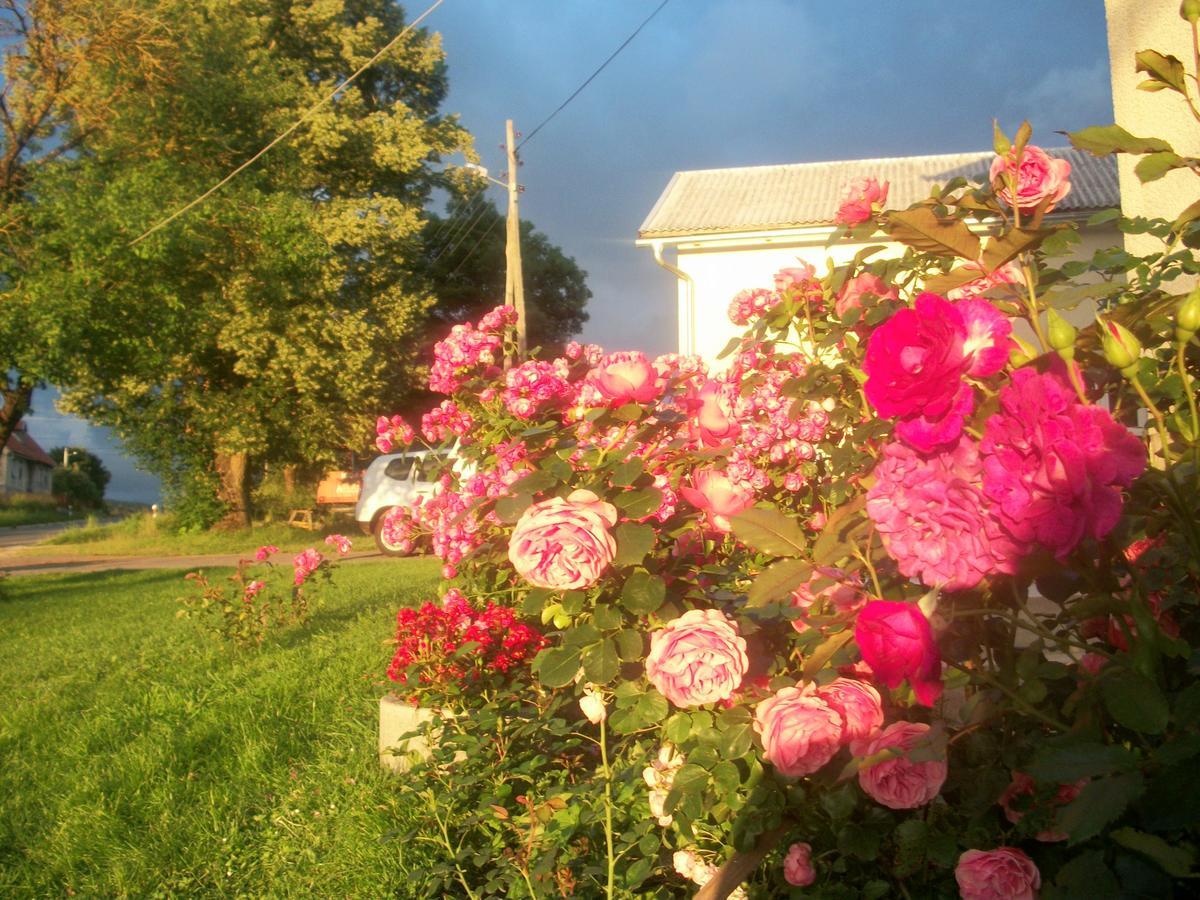 House Veljko Villa Vrhovine ภายนอก รูปภาพ
