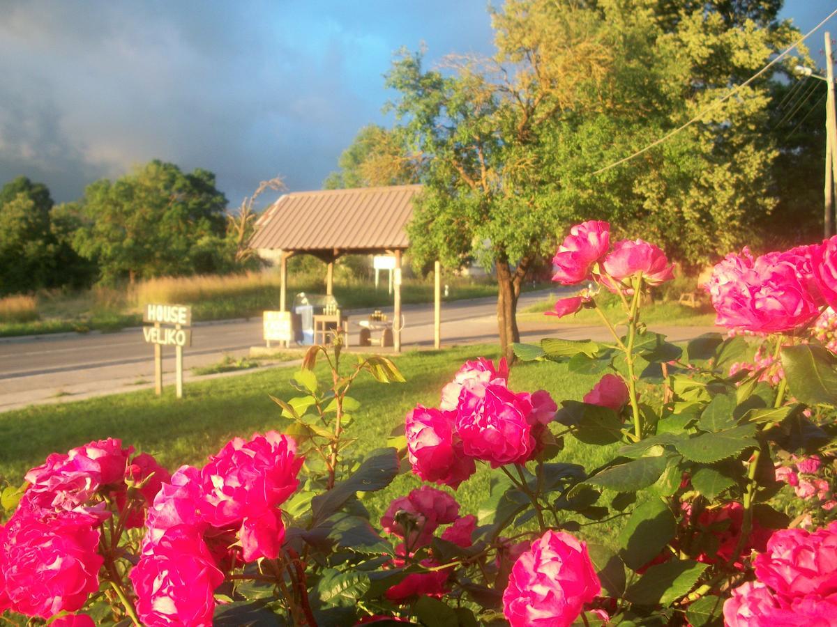 House Veljko Villa Vrhovine ภายนอก รูปภาพ