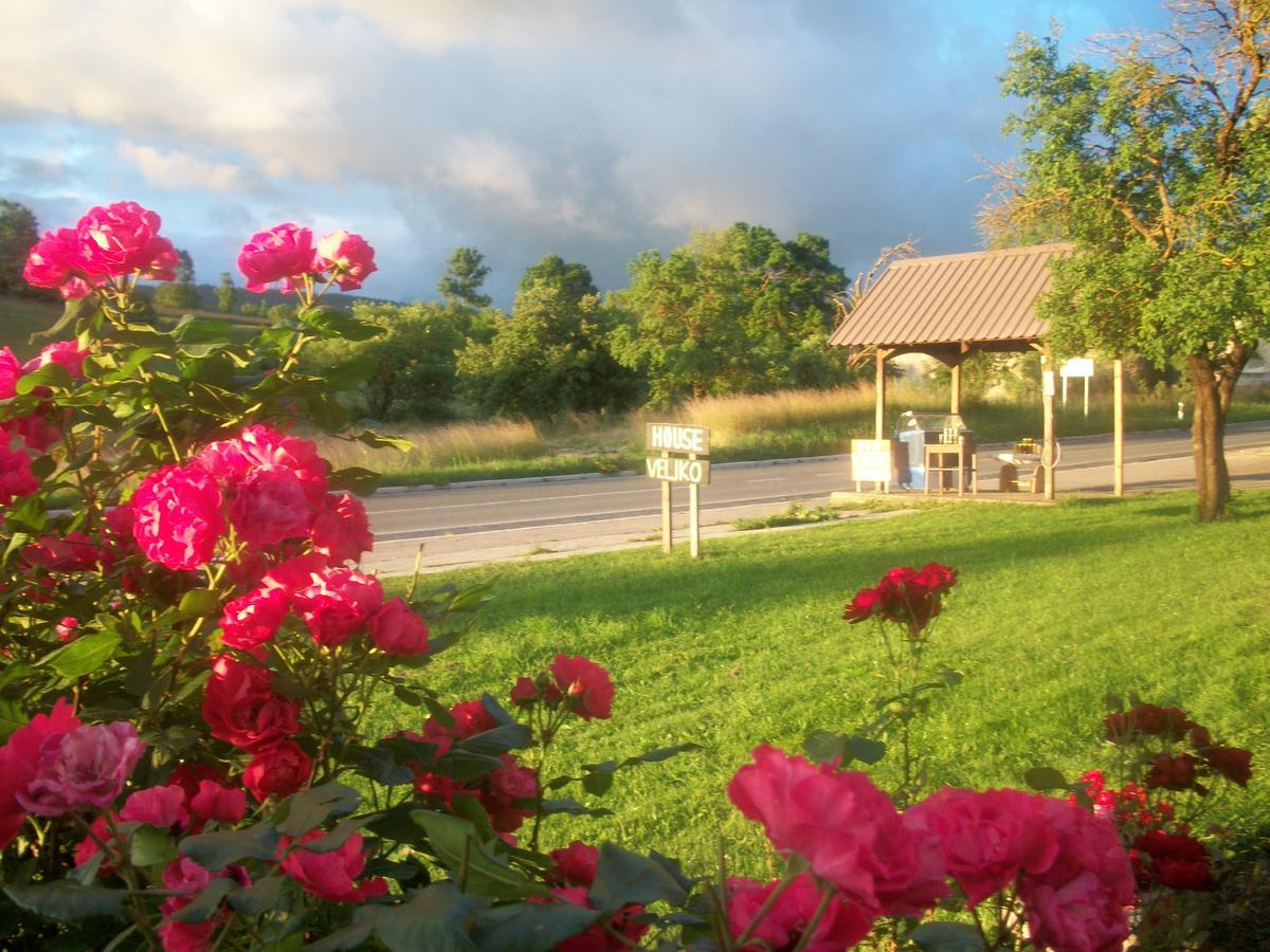 House Veljko Villa Vrhovine ภายนอก รูปภาพ