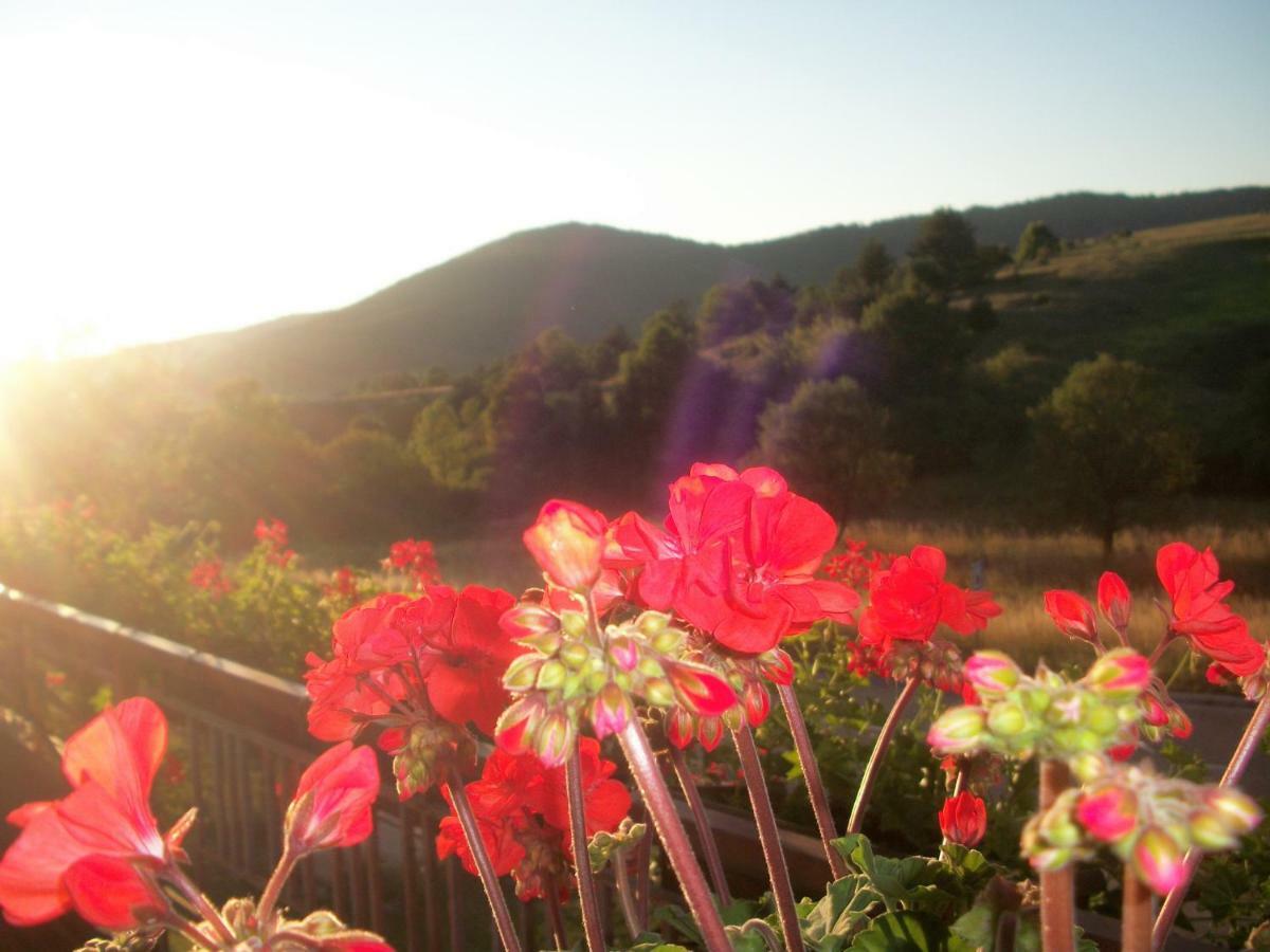 House Veljko Villa Vrhovine ภายนอก รูปภาพ