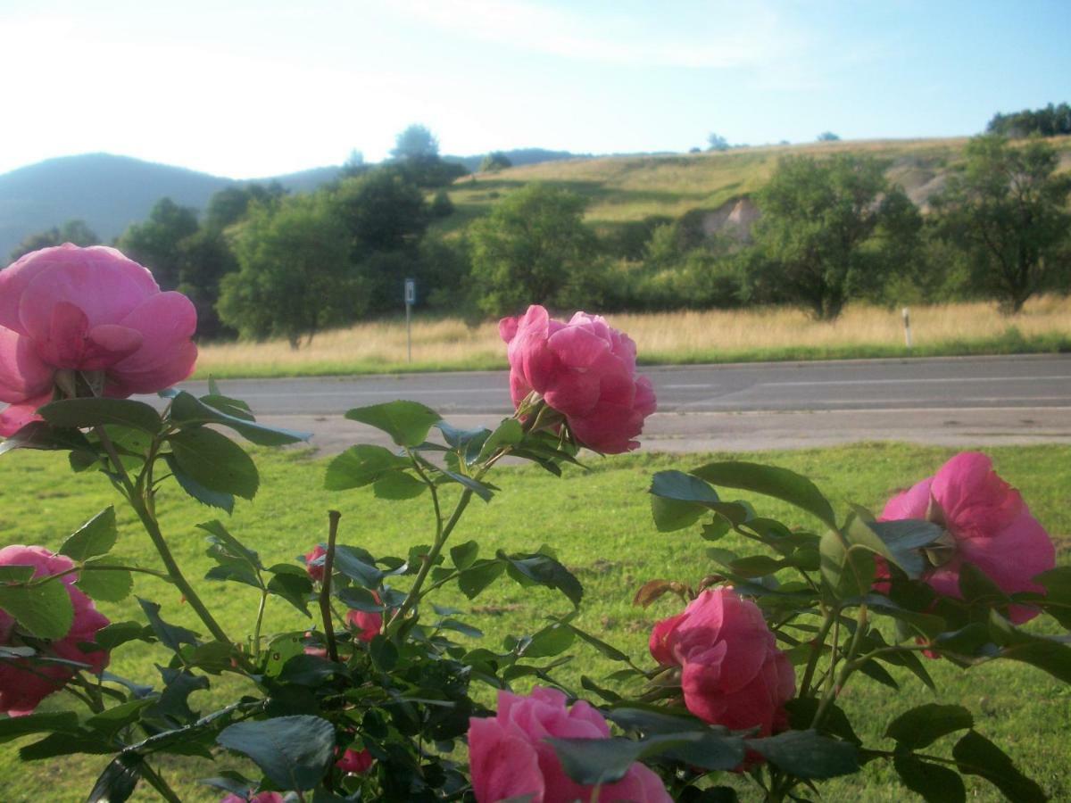 House Veljko Villa Vrhovine ภายนอก รูปภาพ
